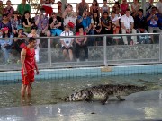 679  crocodile show.JPG